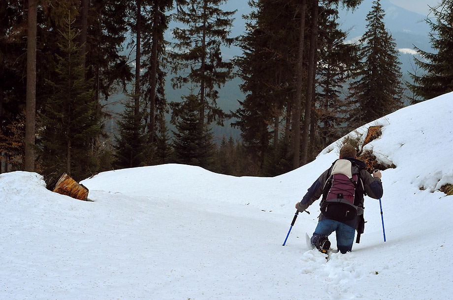 Beskid Żywiecki - Zdjęcie 20 z 20